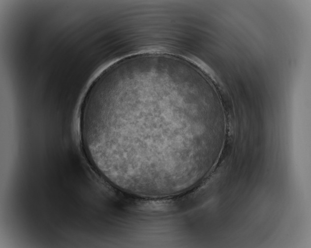 X0000100501078200806131432