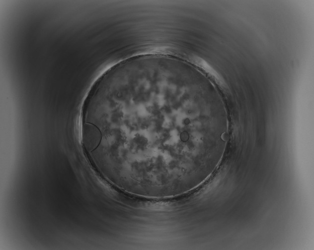 X0000100501079200806131432