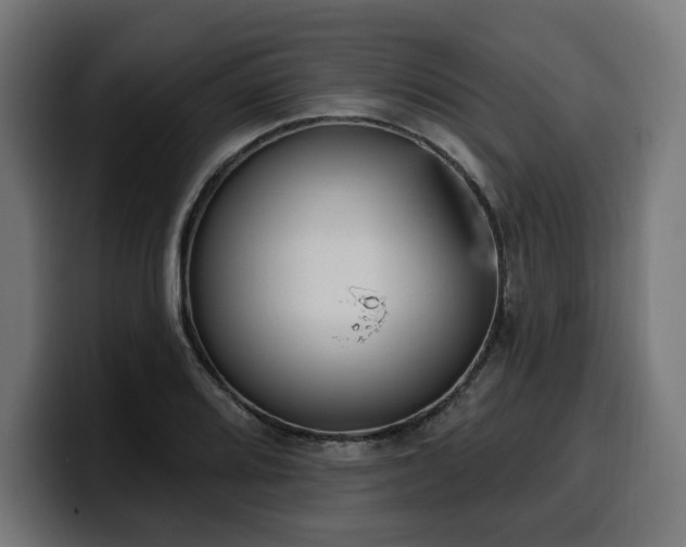 X0000100501080200806131432