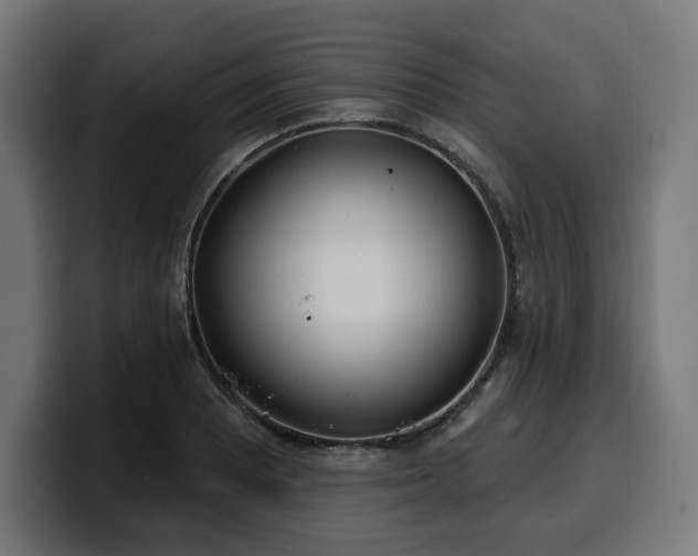 X0000100501081200806131431