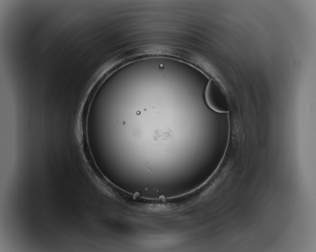 X0000100501082200806131431