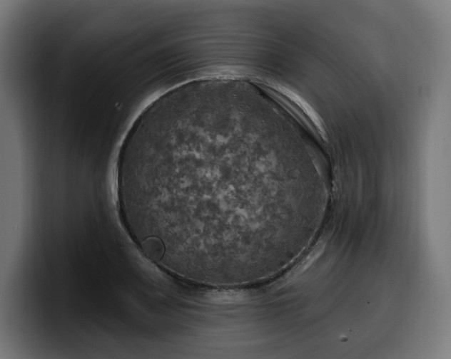 X0000100501083200806131431