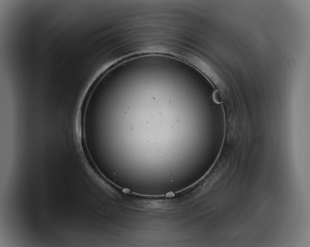 X0000100501084200806131431