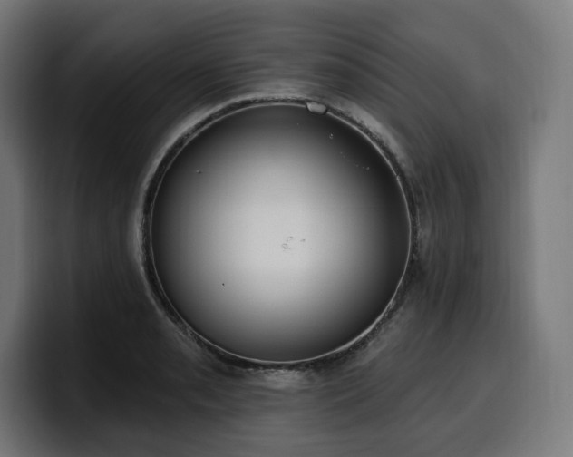 X0000100501085200806131431