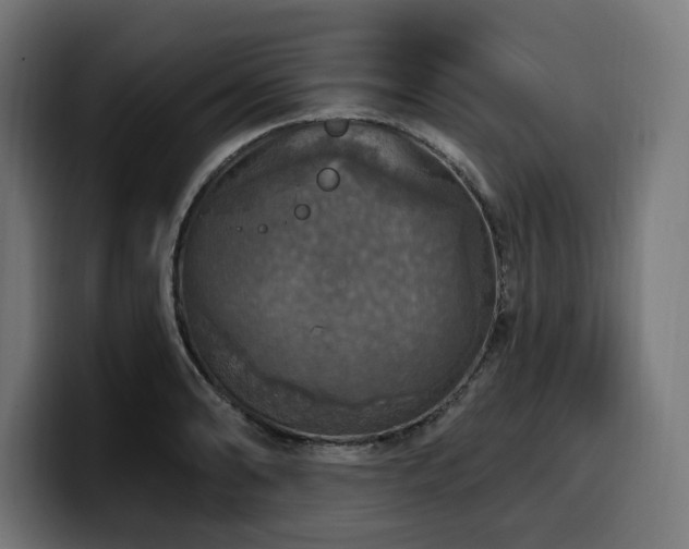 X0000100501086200806131431