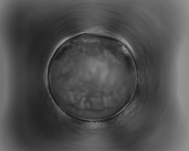 X0000100501087200806131431