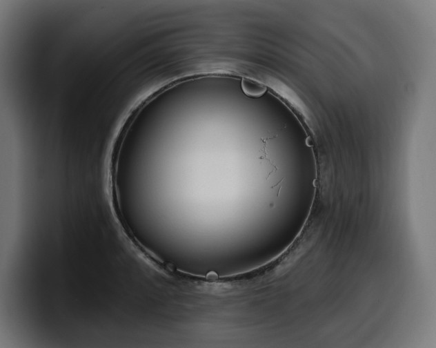 X0000100501088200806131431