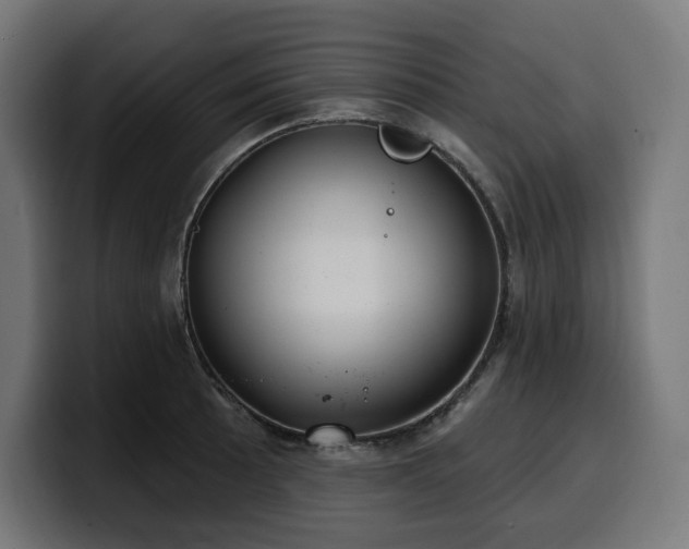 X0000100501089200806131431