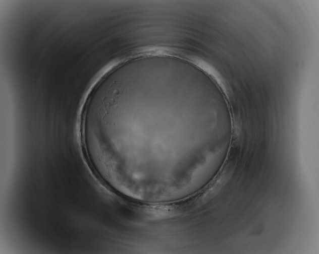 X0000100501090200806131431