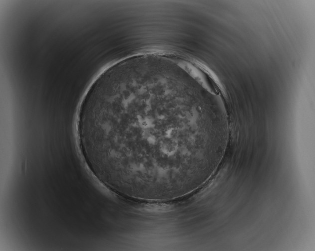 X0000100501091200806131431