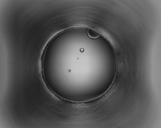 X0000100501092200806131431