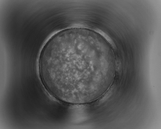 X0000100501094200806131431