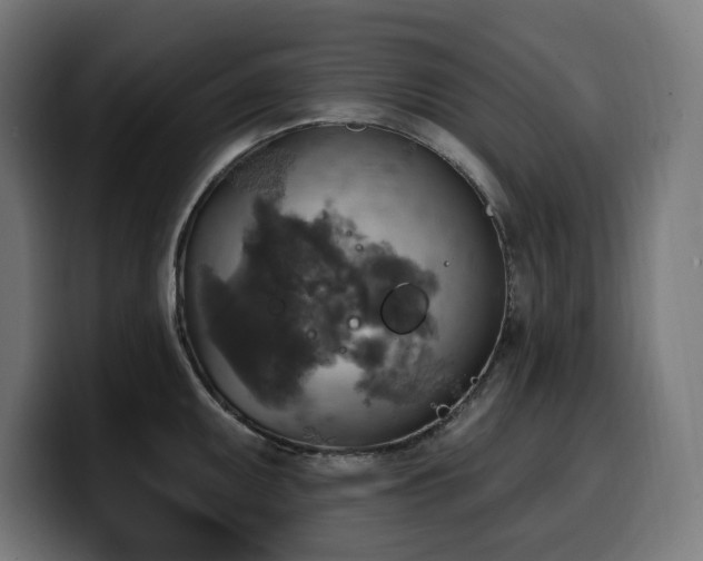 X0000100501095200806131431