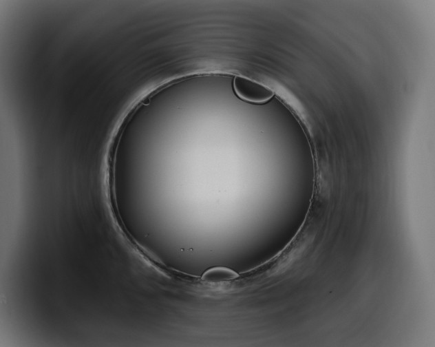 X0000100501096200806131431