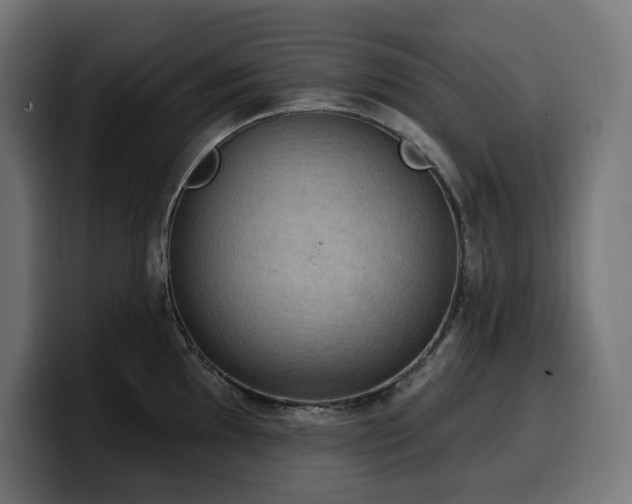 X0000100501097200806131431