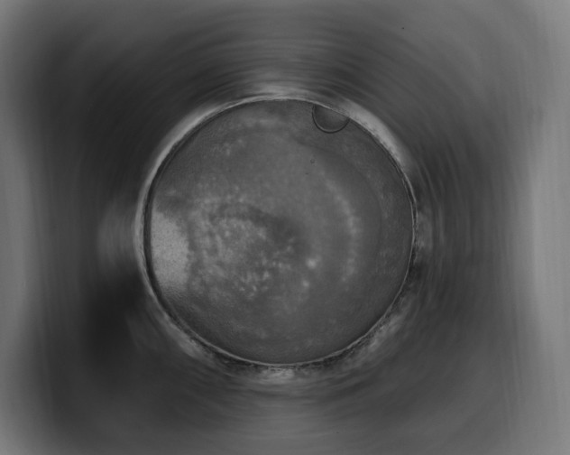 X0000100501098200806131431