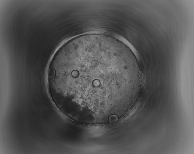 X0000100501099200806131431