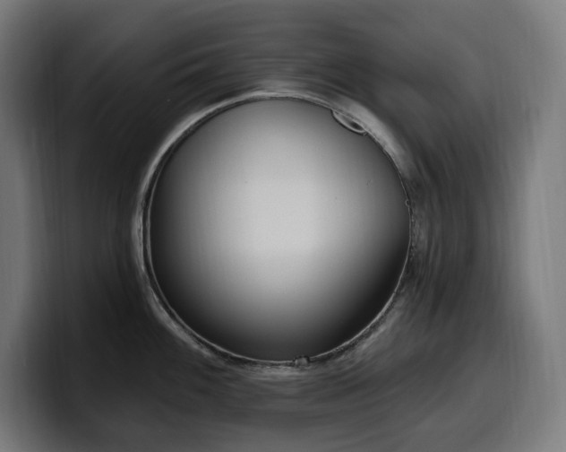 X0000100501100200806131431