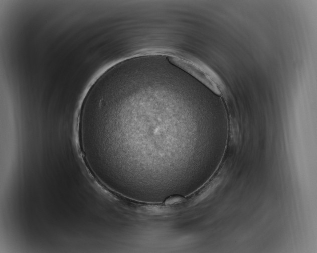 X0000100501102200806131431