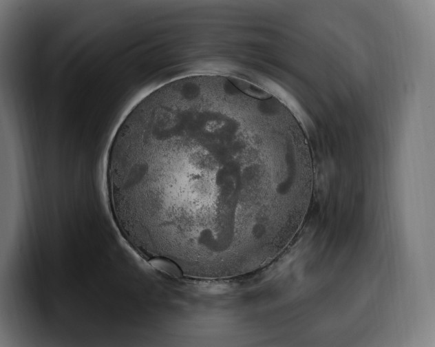 X0000100501103200806131431