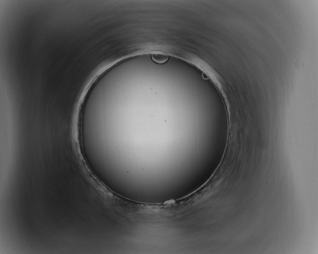 X0000100501104200806131431