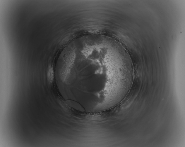 X0000100501106200806131431