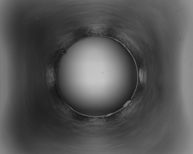 X0000100501107200806131431