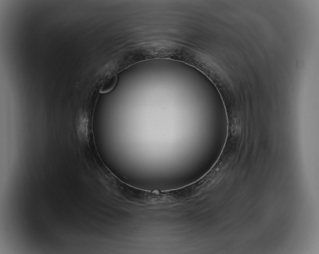 X0000100501108200806131431