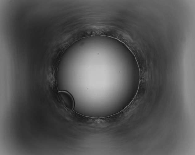 X0000100501109200806131431