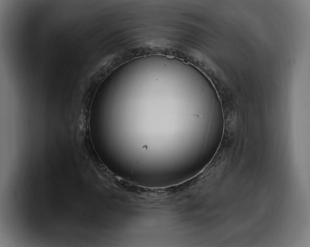 X0000100501110200806131431