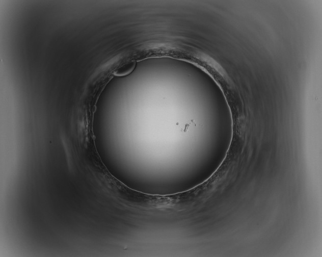 X0000100501111200806131431