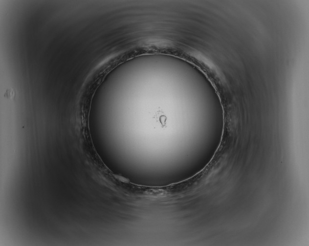 X0000100501112200806131431