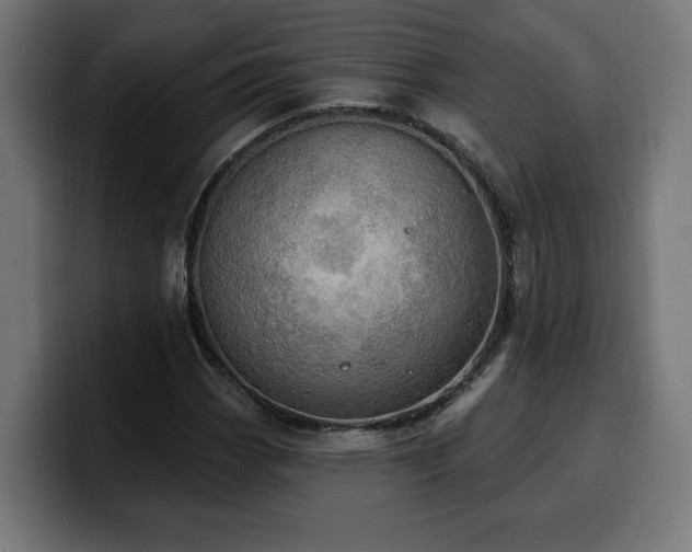 X0000100501113200806131431