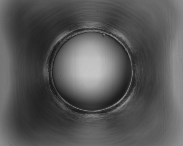 X0000100501114200806131431