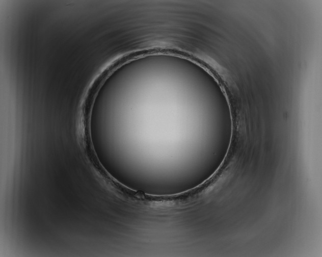 X0000100501118200806131431