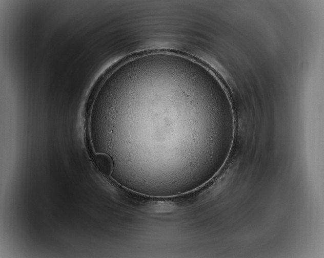 X0000100501119200806131431