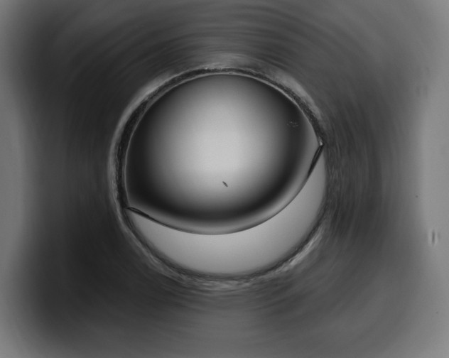 X0000100501122200806131431