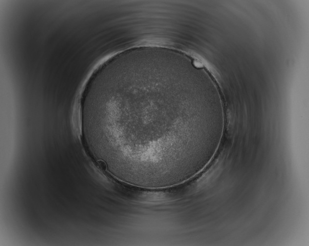 X0000100501123200806131431