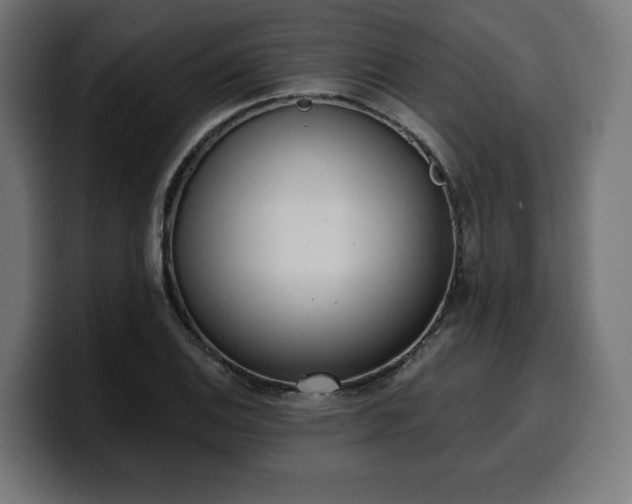 X0000100501124200806131431