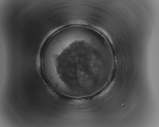 X0000100501125200806131431