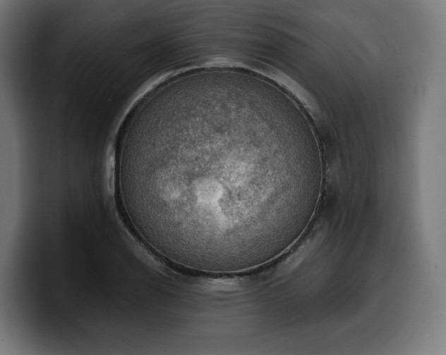 X0000100501126200806131431