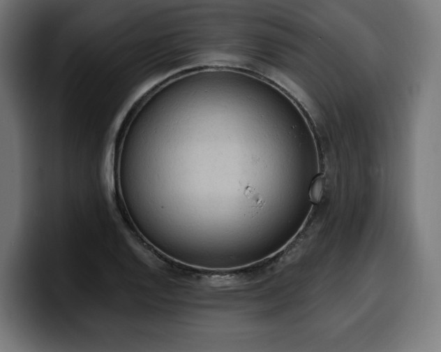 X0000100501128200806131431