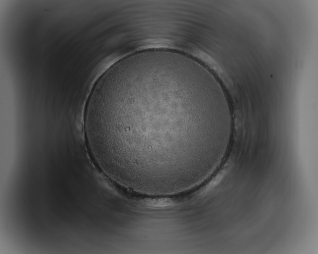 X0000100501129200806131431