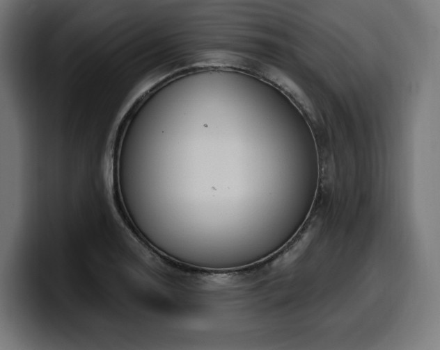 X0000100501130200806131431