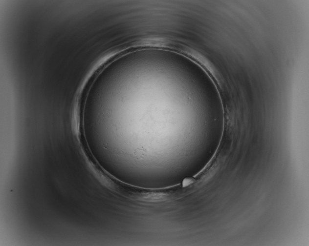 X0000100501131200806131431