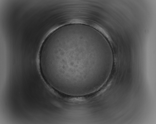 X0000100501133200806131431