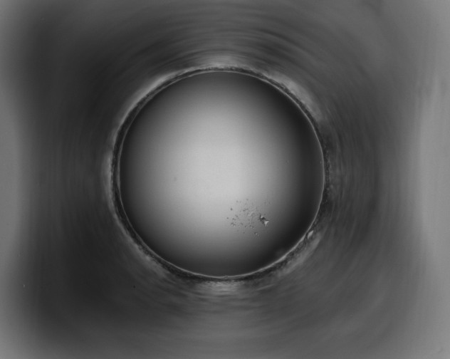 X0000100501134200806131431