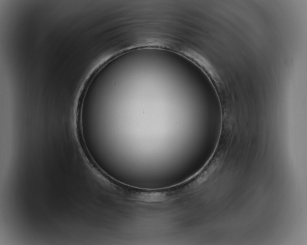 X0000100501135200806131431