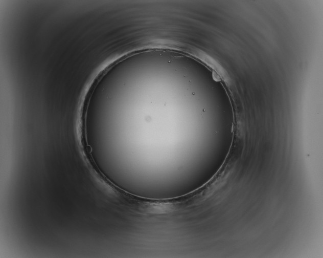 X0000100501136200806131431