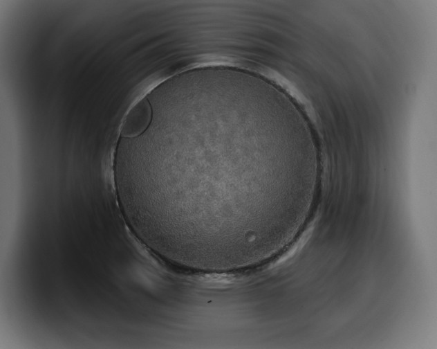 X0000100501137200806131431